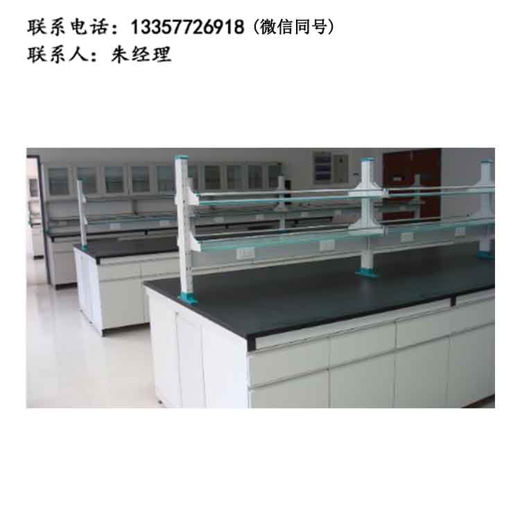 實驗室家具化驗室學(xué)校生物理化學(xué)全鋼實驗臺