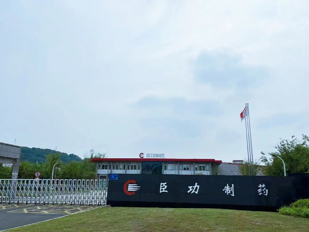 南京臣功制藥股份有限公司