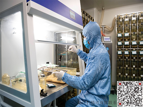 微信二維碼 拷貝副本.jpg